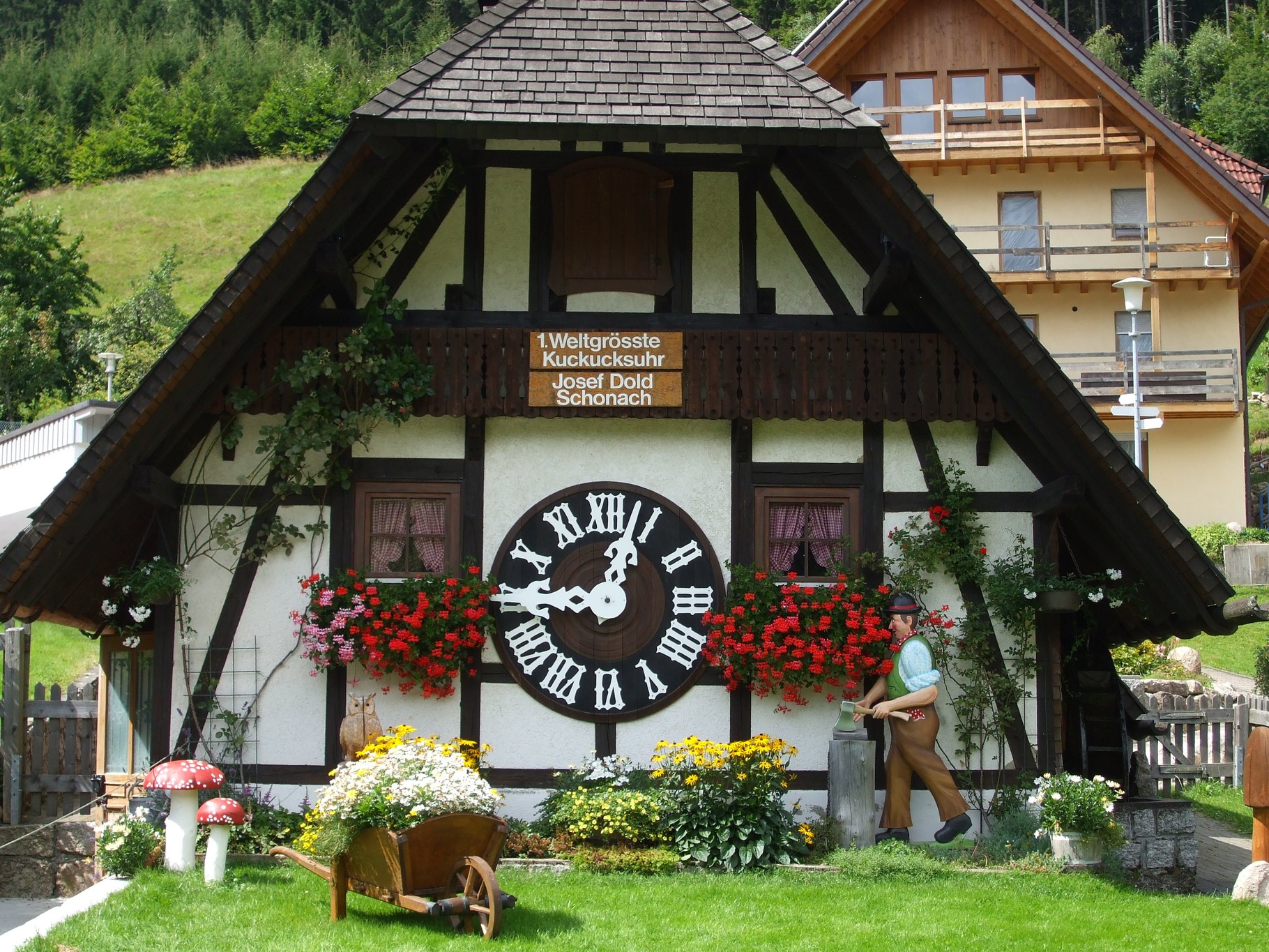 Orologi deals cucu tirolesi