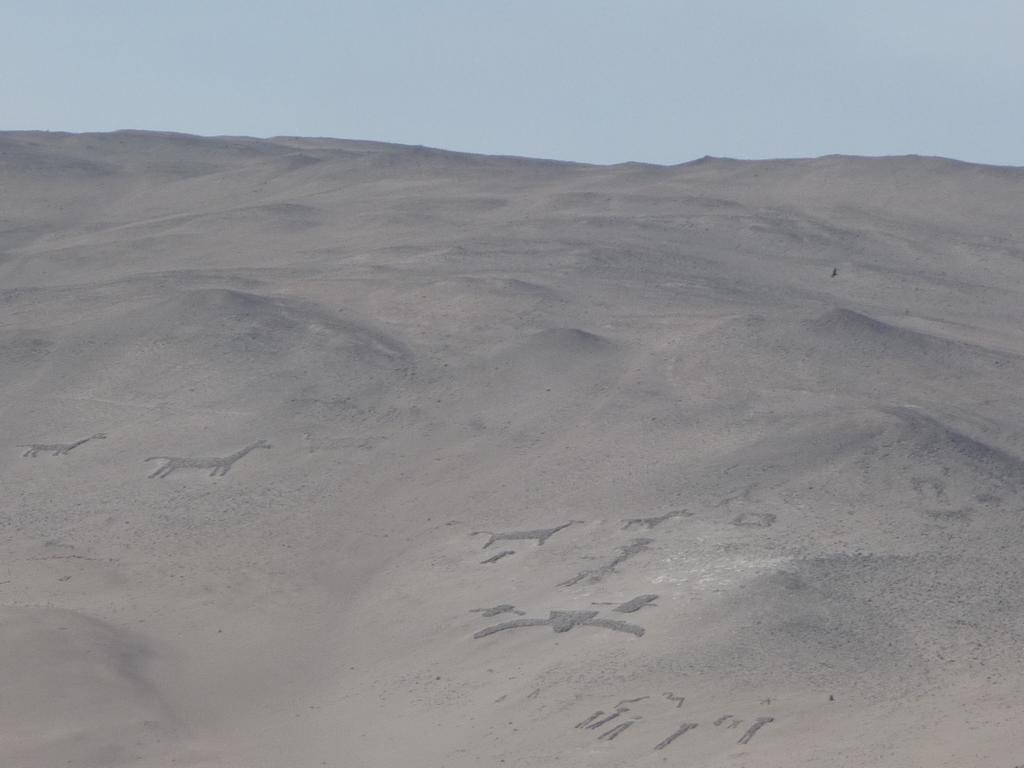 Petroglyphen und Geoglyphen