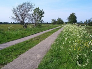 Der "Lange Weg" - die Spurbahn durchs Offensether-Bokelsesser Moor