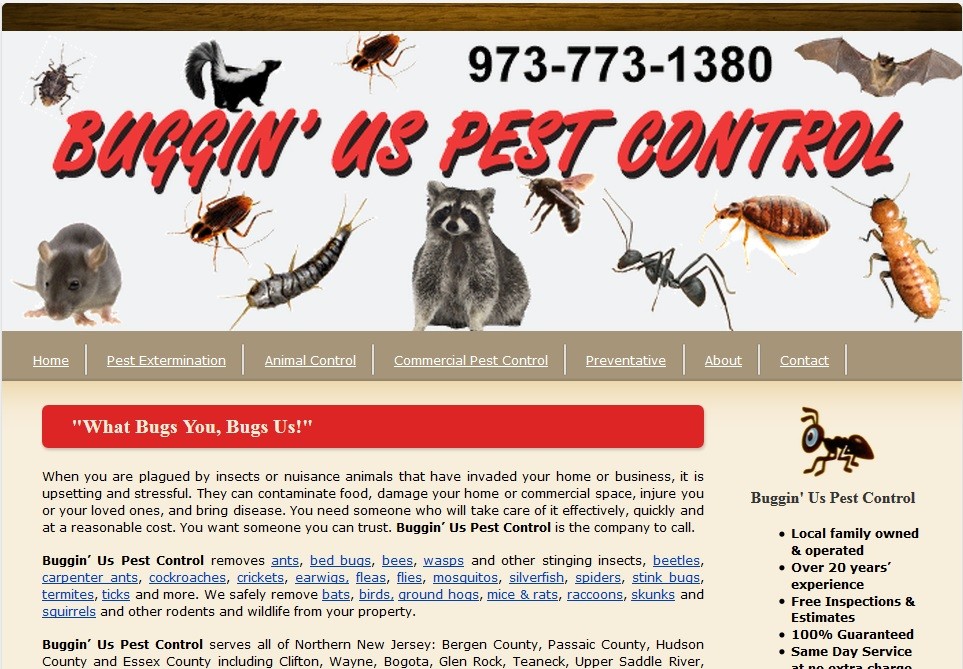 Website for pest control company