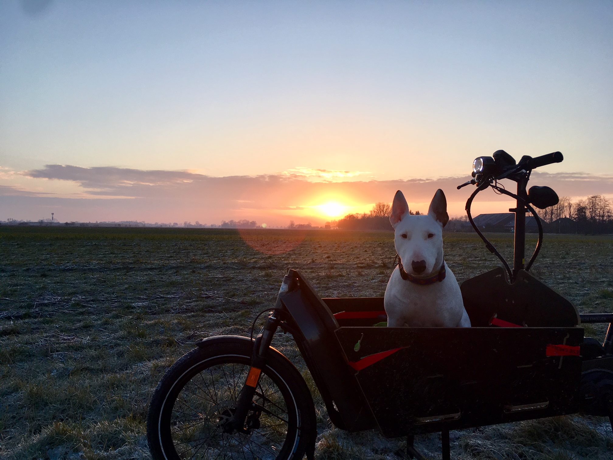 "So ein Lastenrad ist echt praktisch. Man braucht keinen Parkplatz suchen und es ist sowohl für den Hund, als auch für die große Sporttasche genügen Platz." - Patrick Bülter