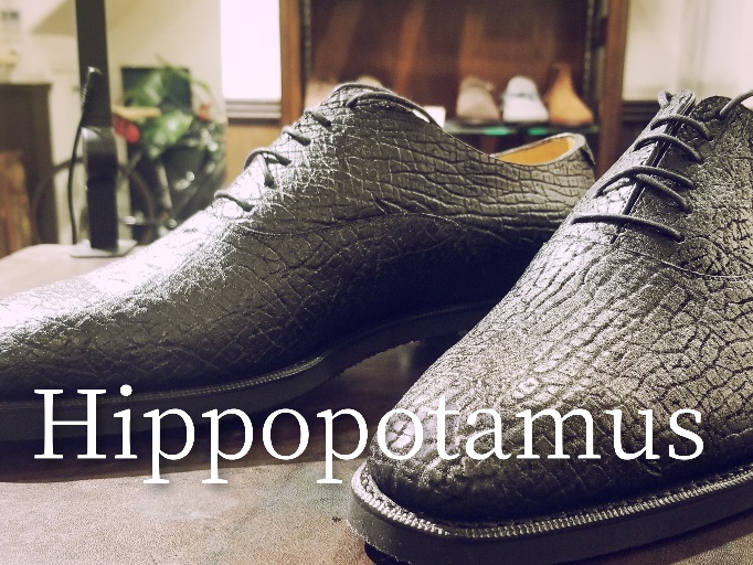 Hippopotamus / ヒポポタマス 何の革か解ります？ - BROSENT in 目黒