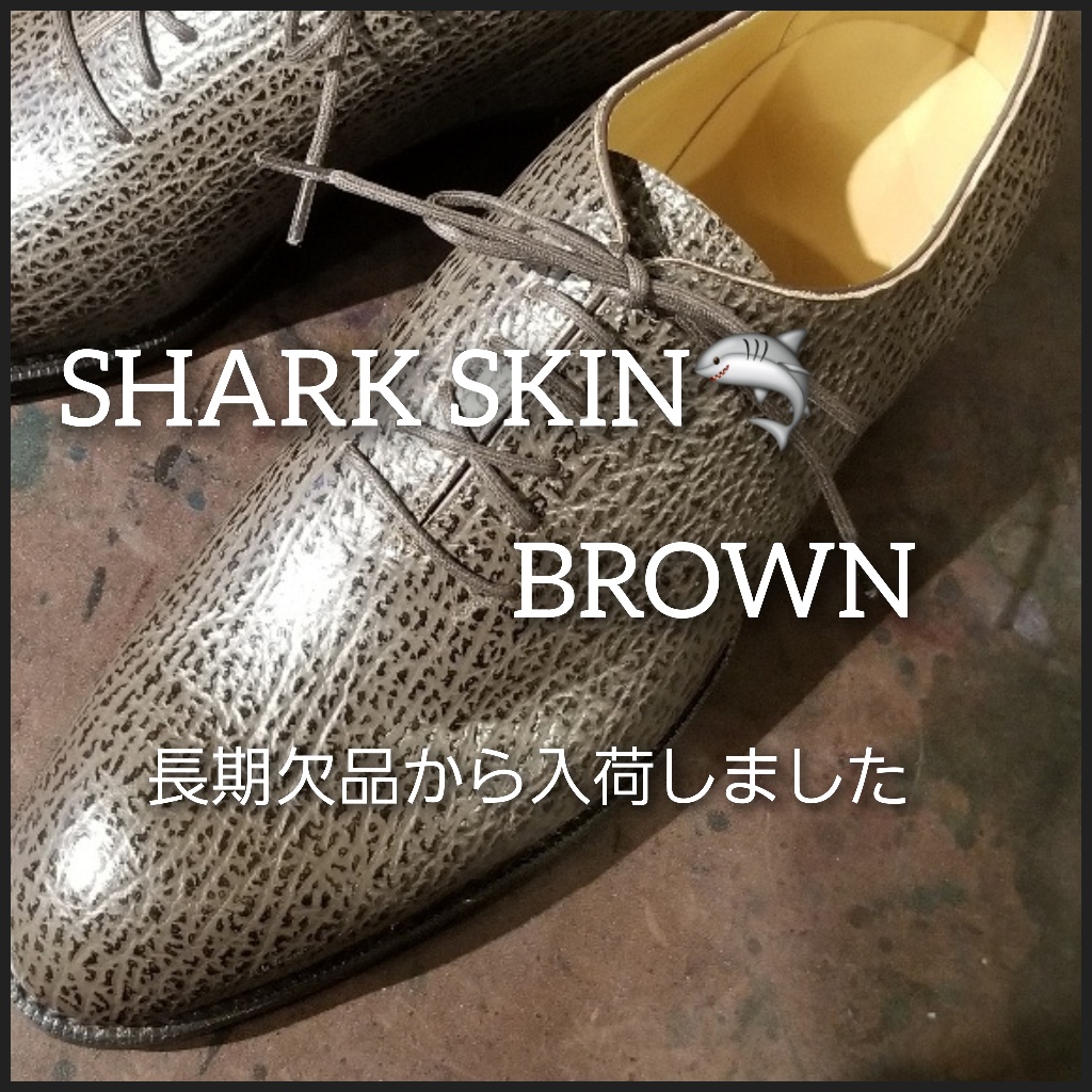 奇跡の超特大のシャークスキン（ブラウン）入荷。今ならどんなデザイン