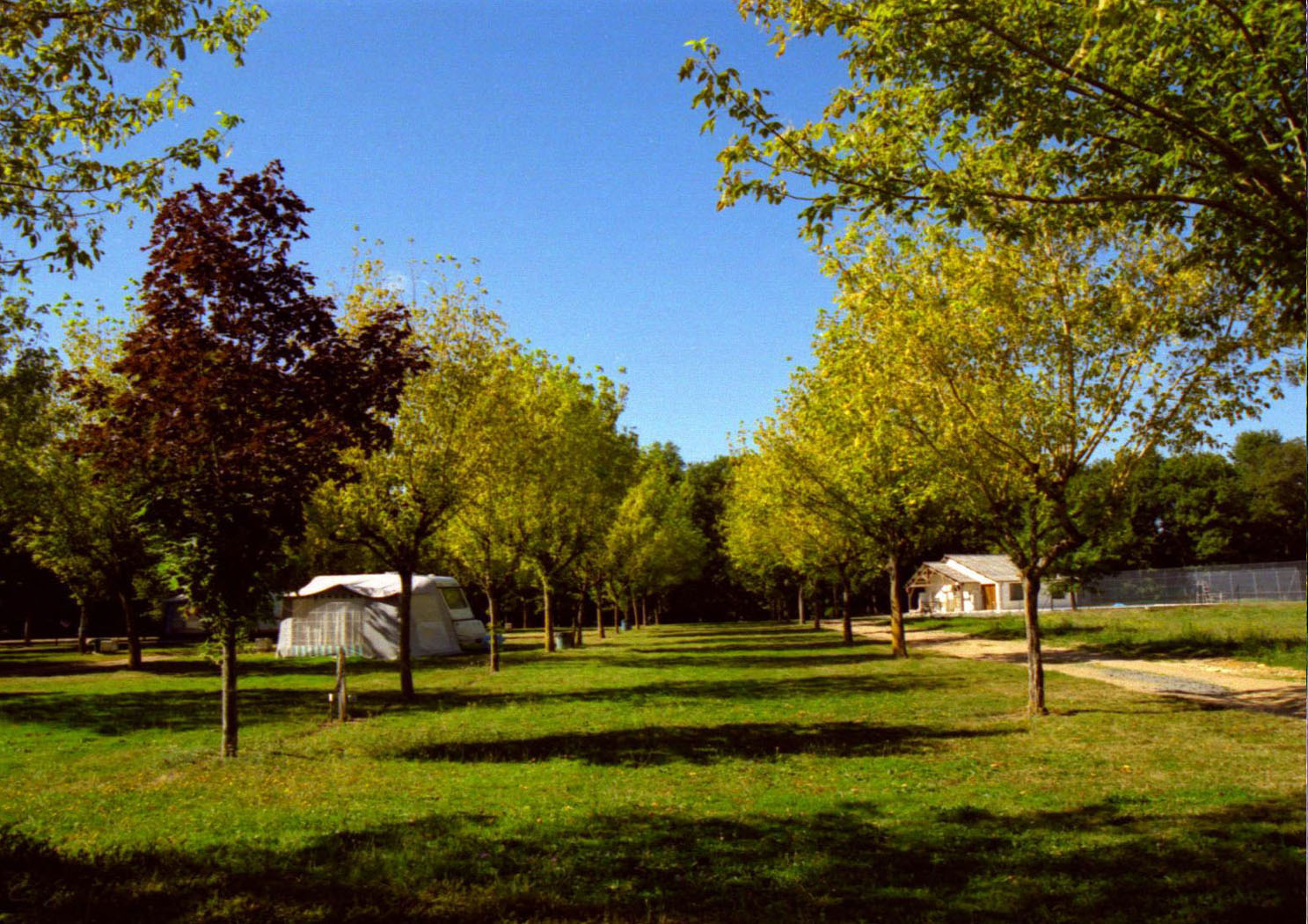 A propos deS MAILLARDS Site Lesmaillards