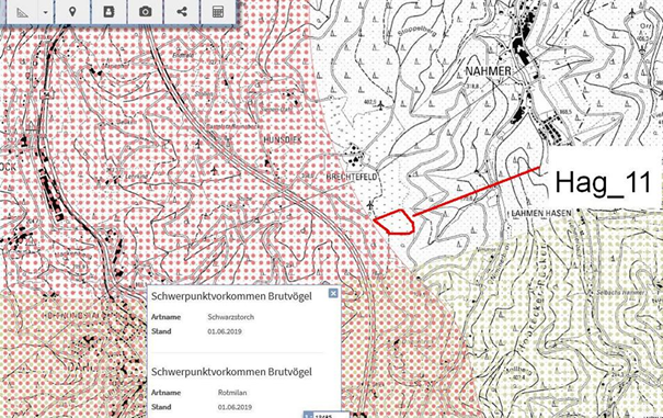 Abb. 8: WEB Hag_11 mit Schwerpunktvorkommen Rotmilan und Schwarzstorch Karte nach LANUV-Energieatlas – Planungskarte Wind, Rotmilan (rot gepunktet), Schwarzstorch (blassgrün gepunktet)
