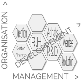 3 axes d'intervention : Organisation Management Développement