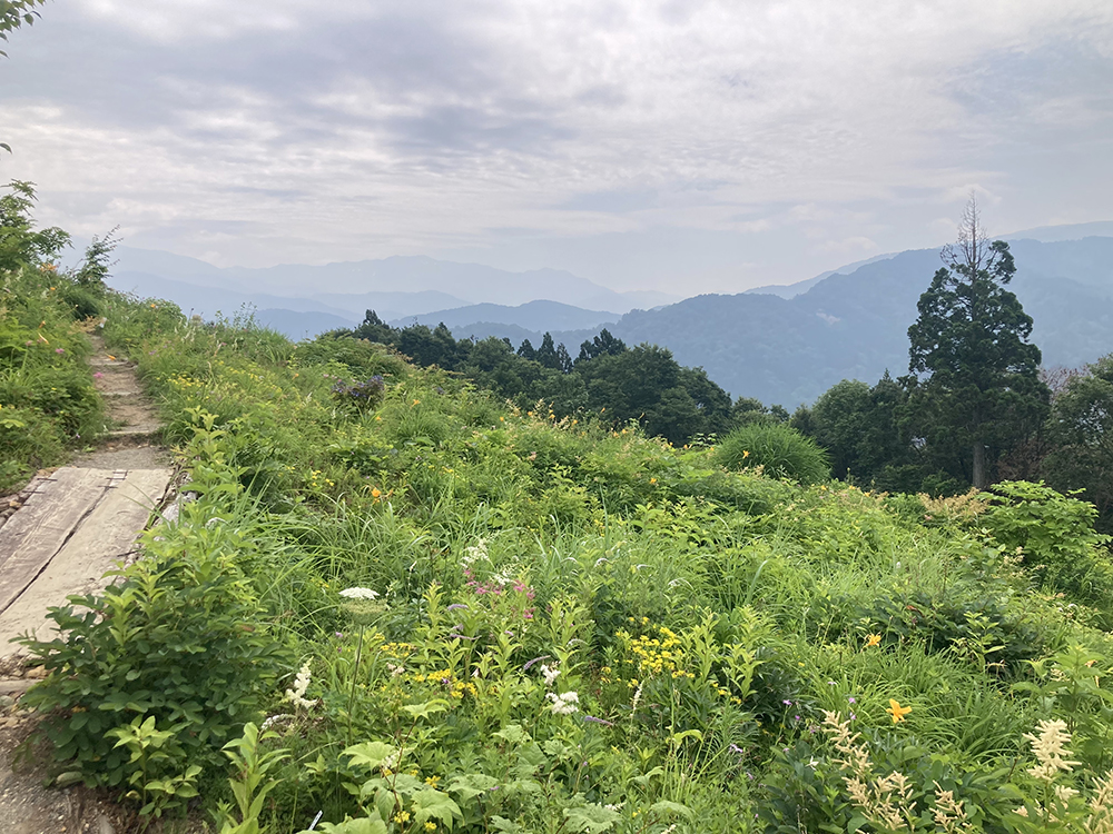 西山高山植物園での撮影会