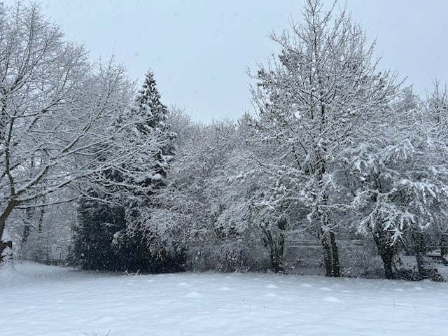 Schnee, Stille, Sein