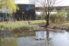Foto Umweltzentrum Neckar-Fils