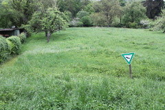 Bornhäuser Wiese