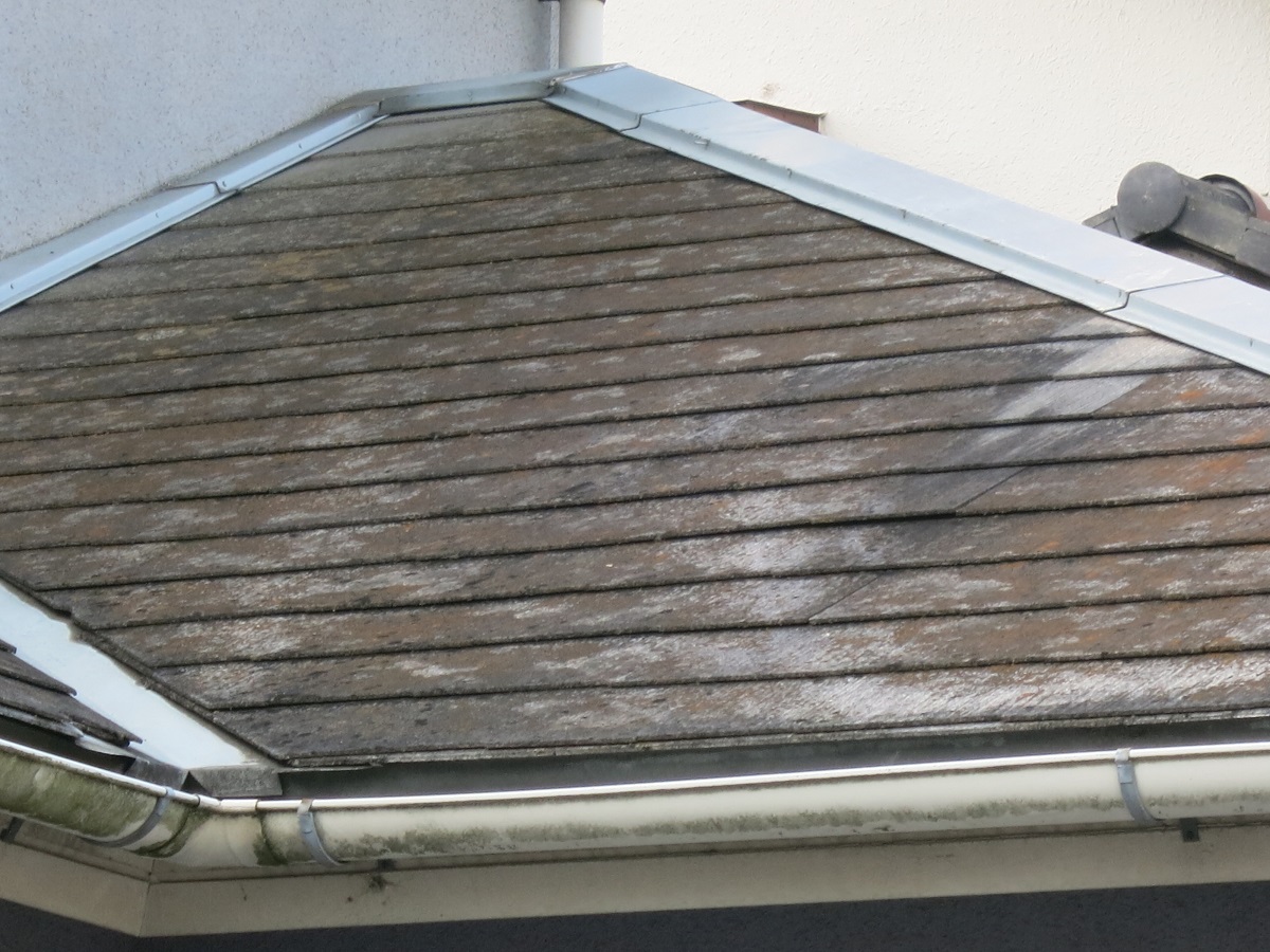 屋根（コロニアル）/コケ、汚れの付着