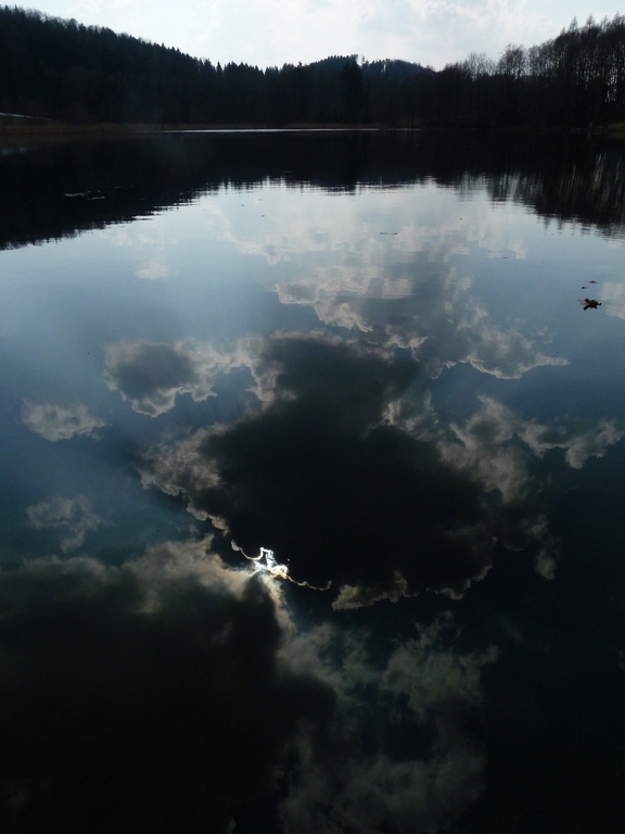 Der Dietramszeller Weiher