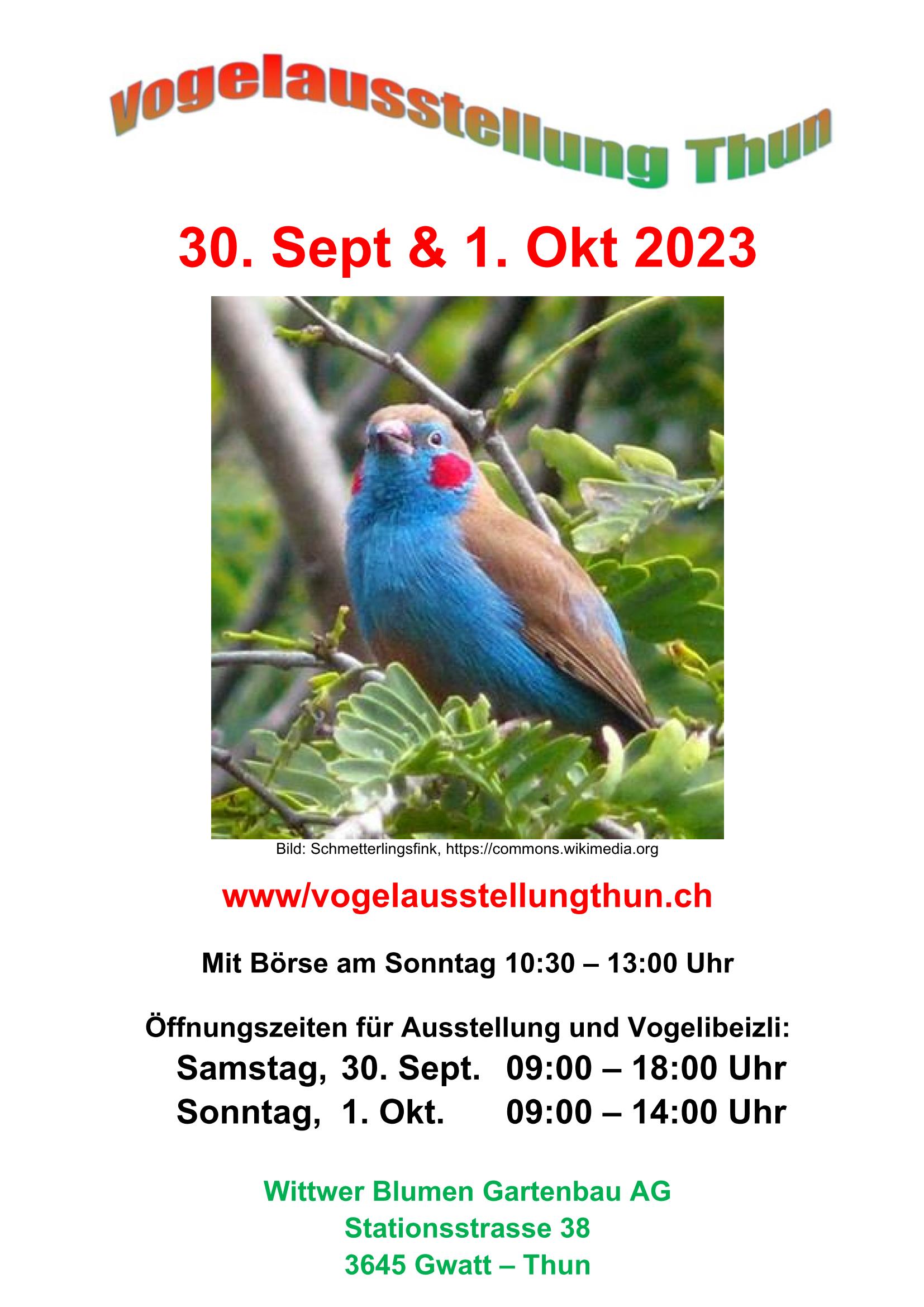 (c) Vogelausstellungthun.ch