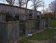 soues à cochons