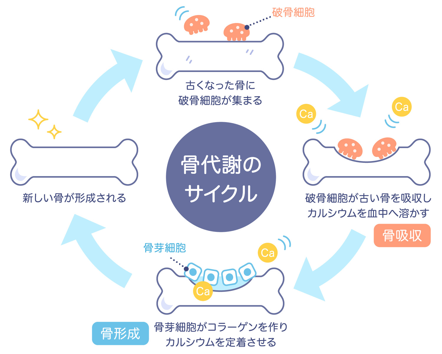 骨粗鬆症のお薬を飲んでいる方へ