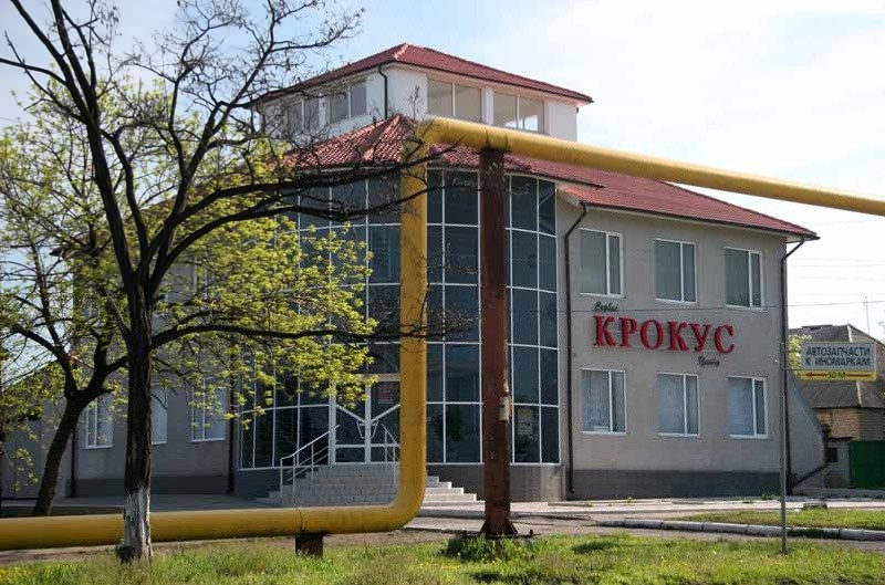 Крокус Красный Луч Интернет Магазин