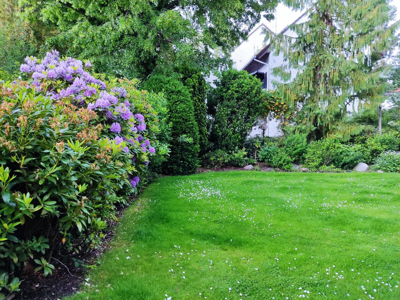 Gartenpflege im ABO LeidenschaftGrün Gartenpflege aus Leidenschaft
