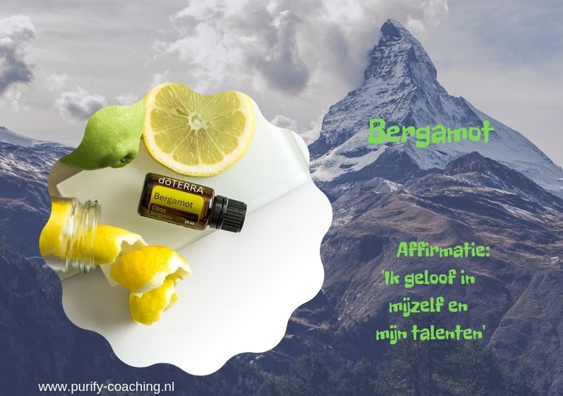 Bergamot