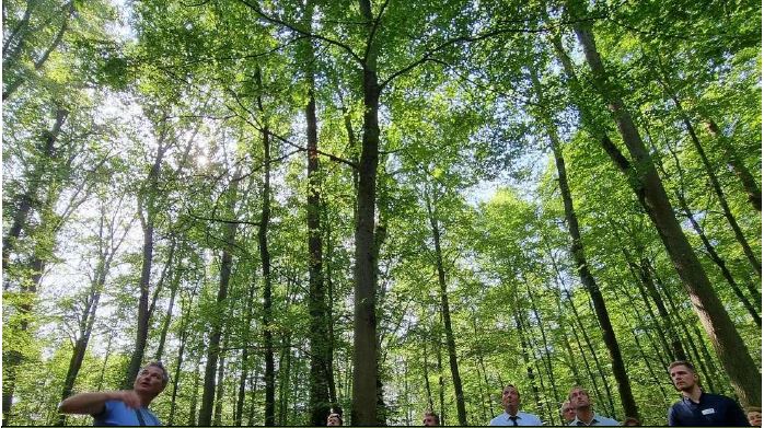 Dr. Markus Dietz (links) informiert im Hungener Stadtwald über die Bedeutung des Wildnisprojektes für die Zukunft. Foto von Tina Jung