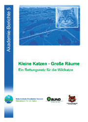 Kleine Katzen - Große Räume Ein Rettungsnetz für die Wildkatze