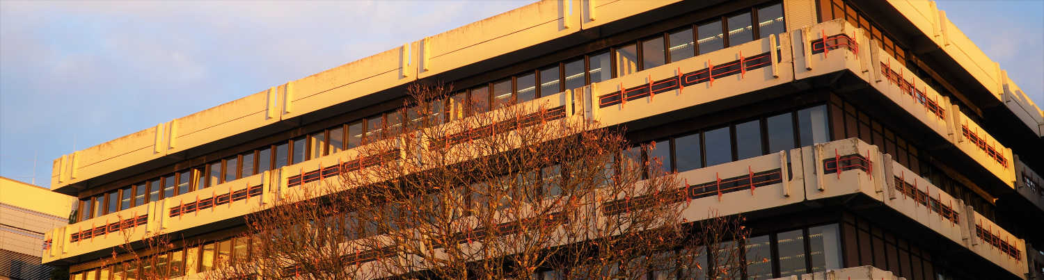 Walter Eucken Gymnasium Kaufmännische Schulen