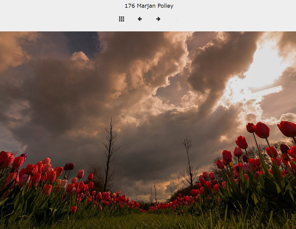 Voorjaarswedstrijd 2017