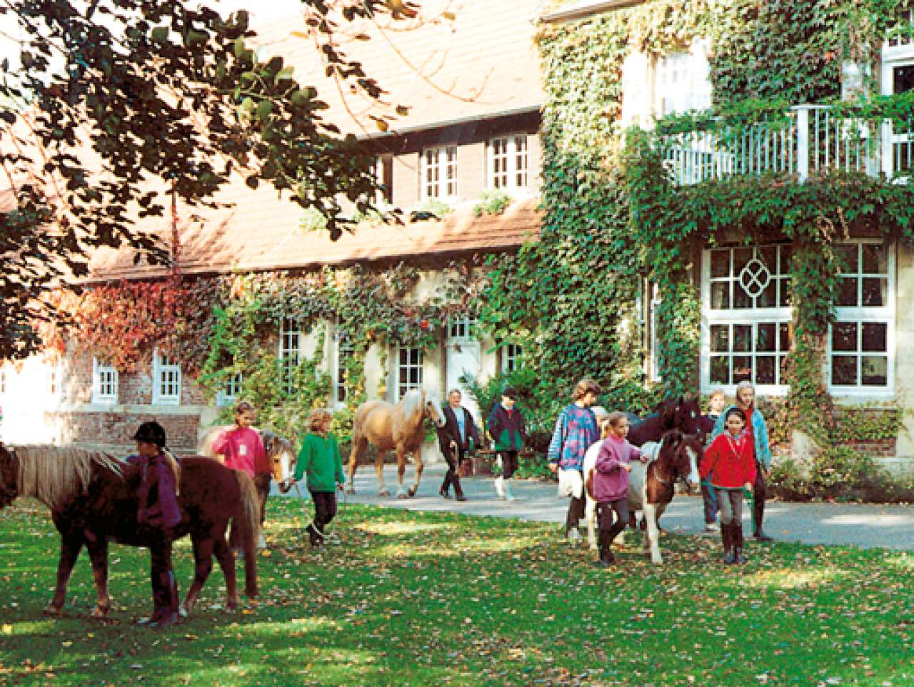 LandSelection Ponyhof Schleithoff in Havixbeck (Münsterland) - LandSelection