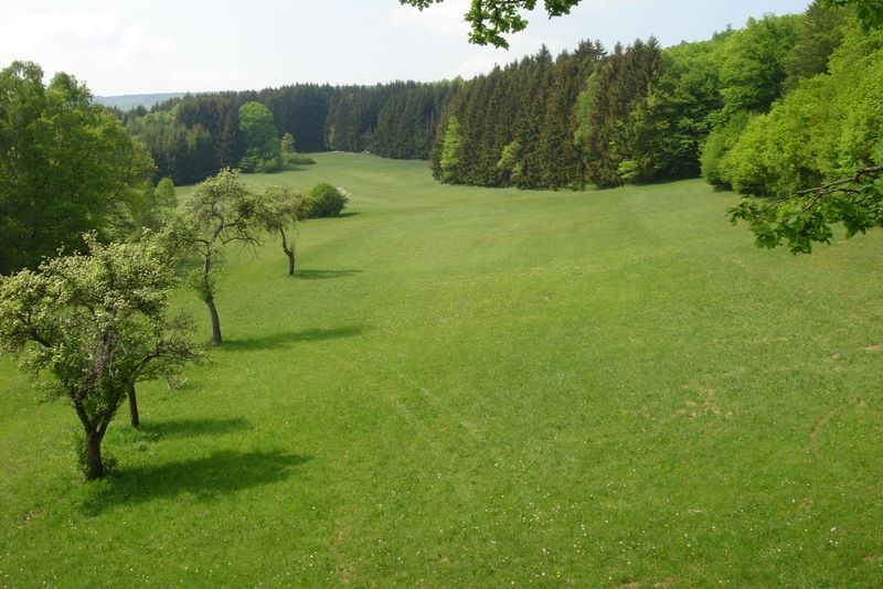 Blick in das Wiesental