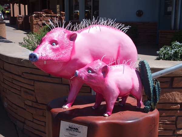 ハバリナ（野生の猪）はピンクジープツアーのお店のマスコット