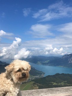 ... genieße mein Hunde-Leben ... 13J
