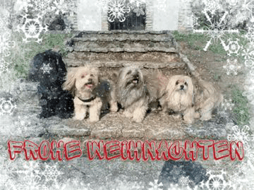 ... Frohe Weihnachten 2022 ... 7,2J