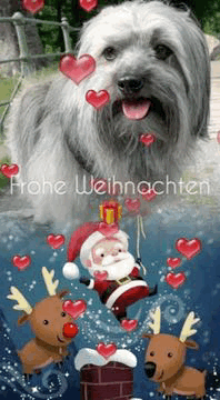 ... Weihnachten 2022 ... 7,2J