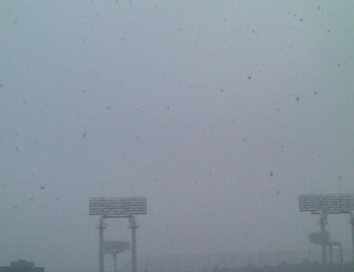 東京の雪