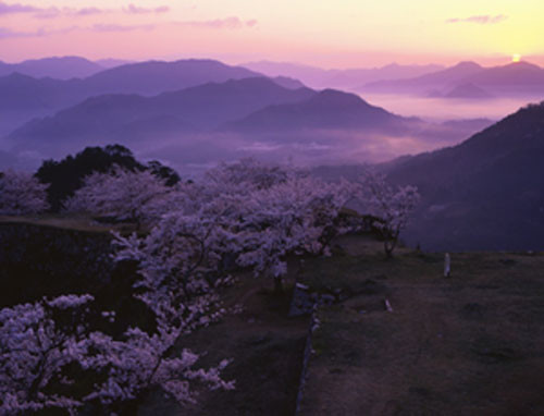 桜　名所