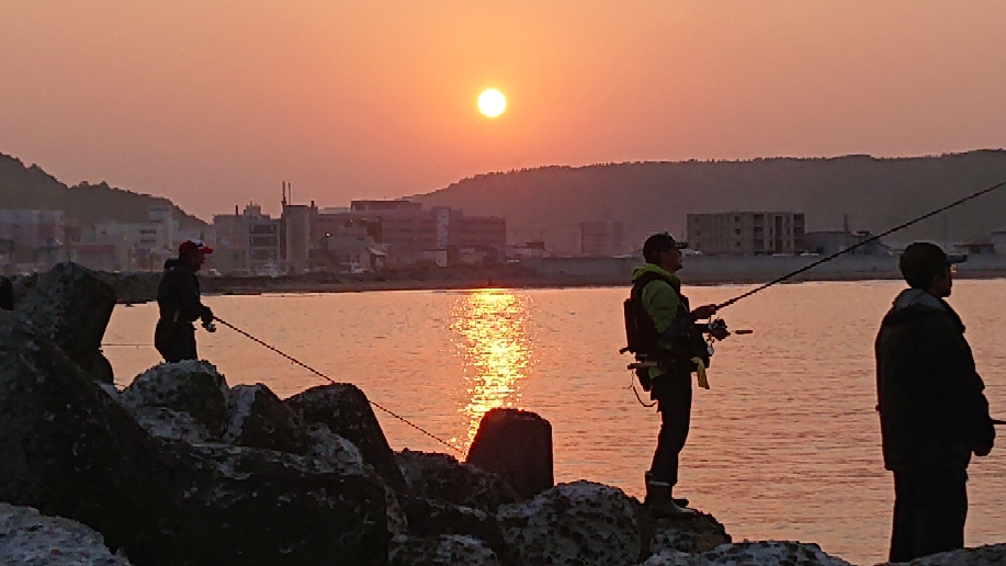 夕暮れ時、秋サケを狙って…(10/2)