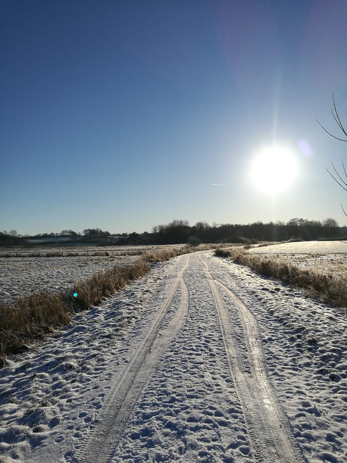 Foto: Doris Marxsen