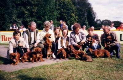 Zuchtschau: Treffen der Nachkommen von Debby in Ockstadt