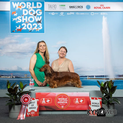World Winner 2023 - BOB "Don da Vinci von der Taunushöhe"
