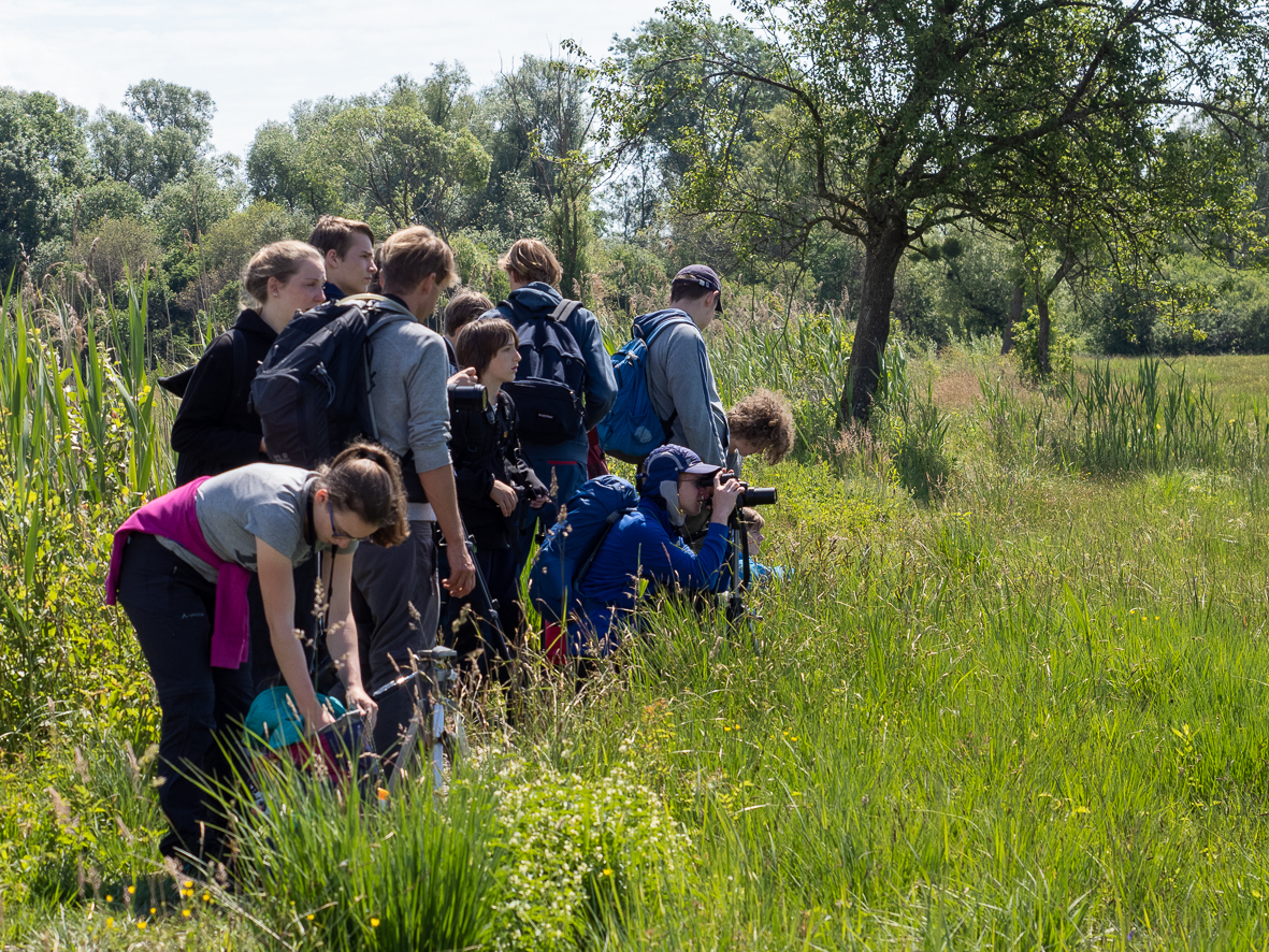 Foto: NABU/Markus Pagel