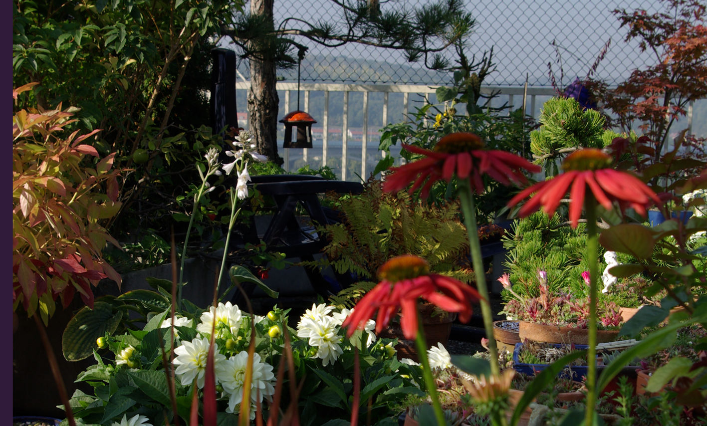 Mdr Garten Zu Besuch Bei Uns Nachhaltiges Design Und Spirituelle