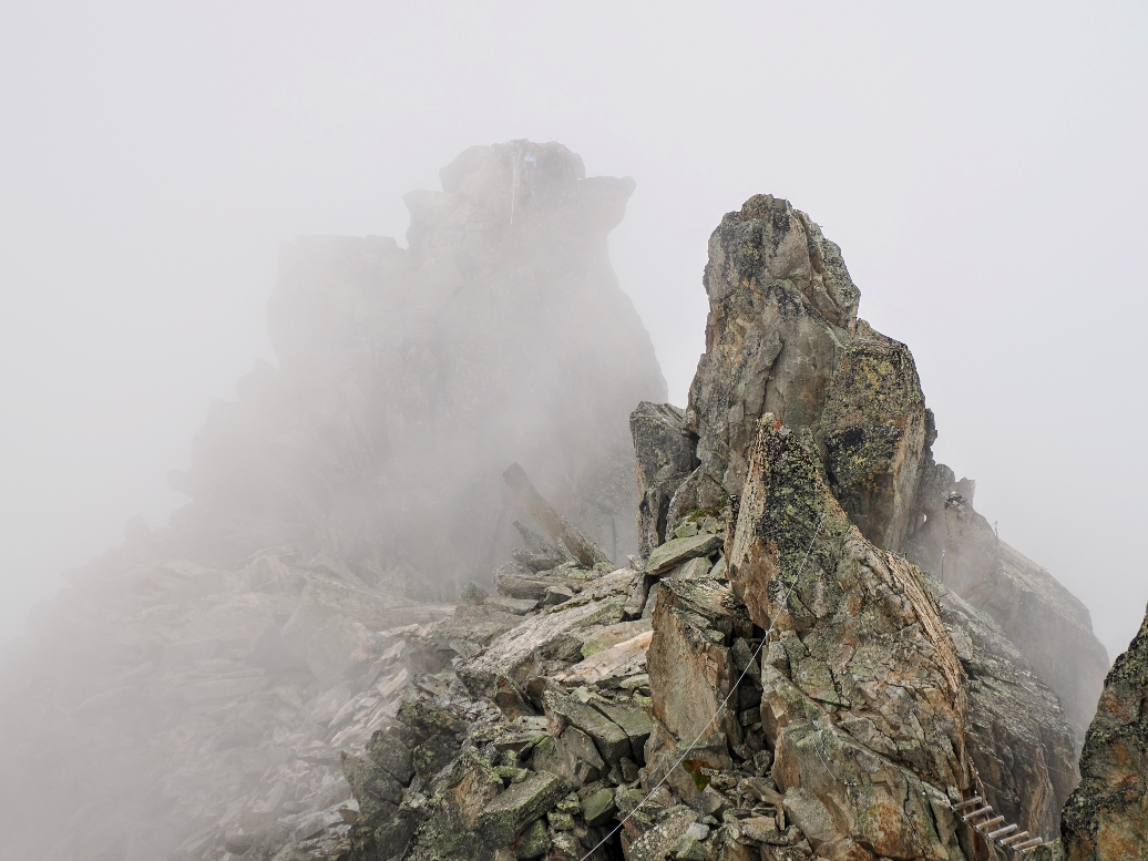 Eggishorn Wallis