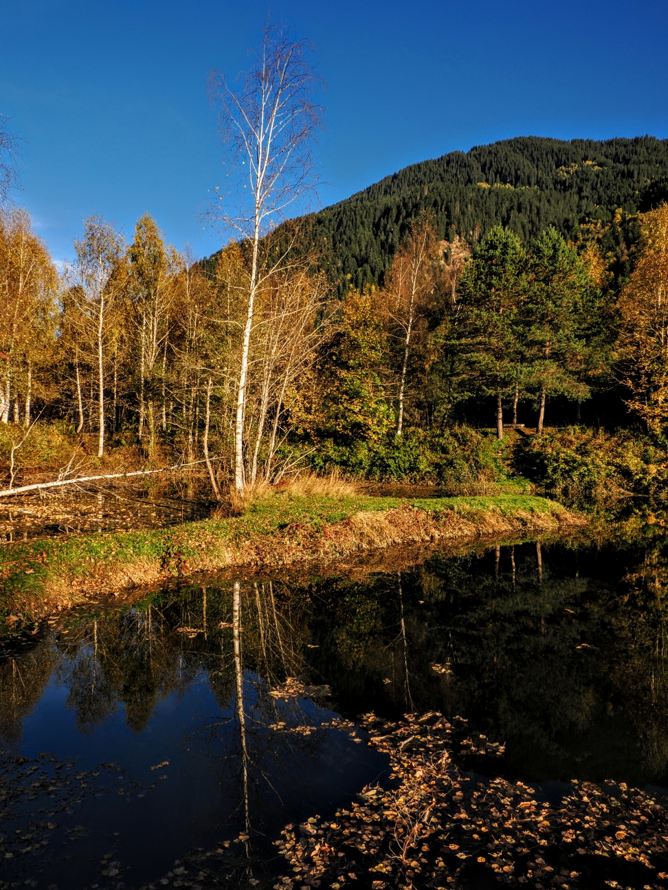 Teich Salischinas 
