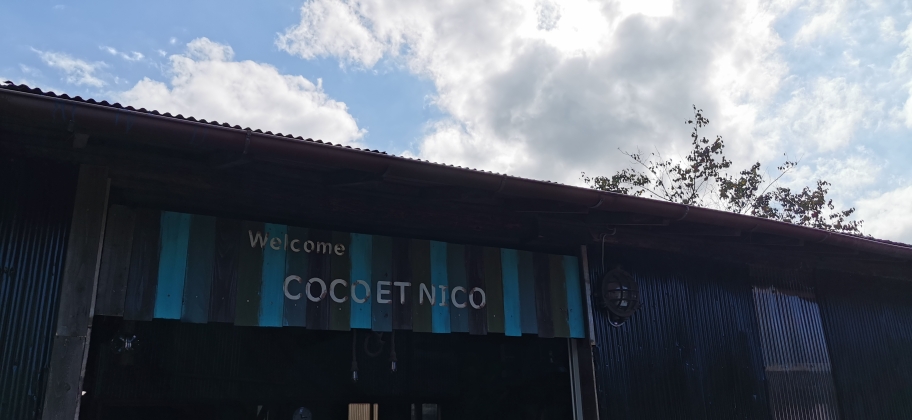 多肉植物専門店 COCOETNICO - cocoetnico ページ! 多肉植物専門店 COCOETNICO - cocoetnico ページ!