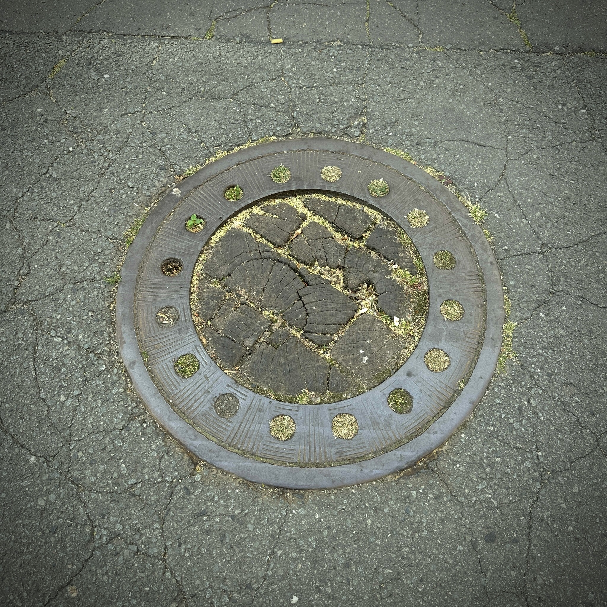 Foto: NL / 27.06.2025 / Rosentalgasse