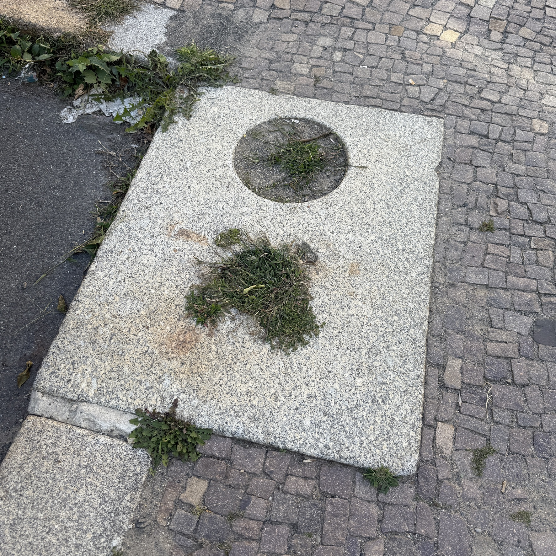 Reste einer Pumpe (Schacht und Abdeckplatte) Ecklage Möckernsche Straße gegenüber Herloßsohnstraße 2 11.08.2025