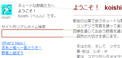 ヘッダーにCSSを追加したが・・・。