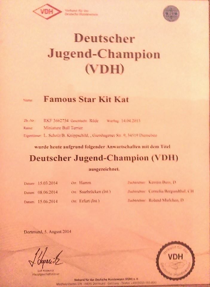 Deutscher Jugend Champion VDH