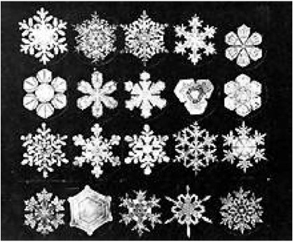 Wilson's Bentley's beautiful snowflakes