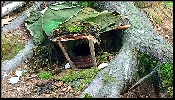 A Leaf-Roofed Fairy House