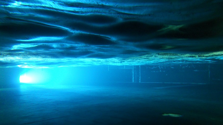 Waves in fluids and solids